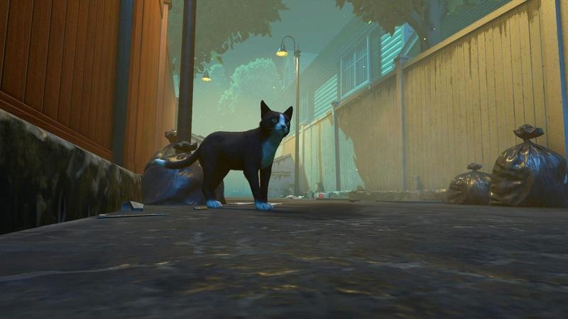 Copycat (3).jpg Copycat (3).jpg